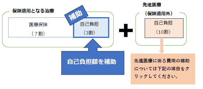 保険適用分の不妊治療