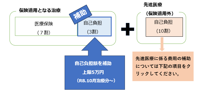 保険適用分の不妊治療