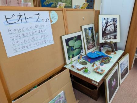 ビオトープ1