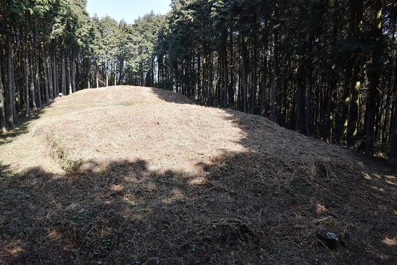 小森古墳近景 南西から撮影