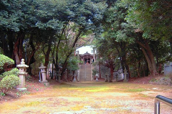 春日神社社叢 東から撮影