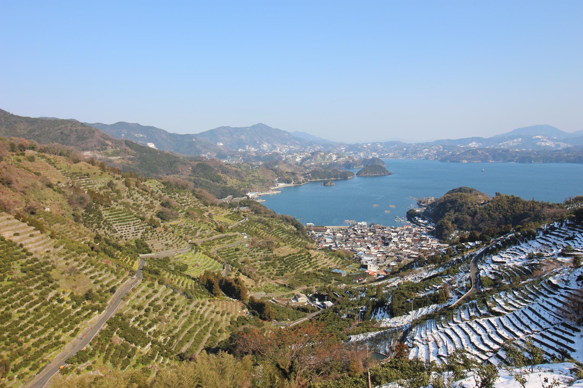 狩江 段々畑2