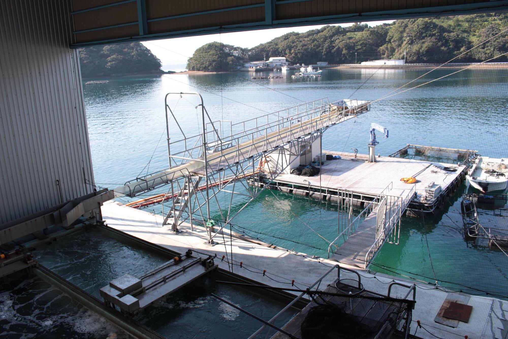 海に面した養殖場の写真