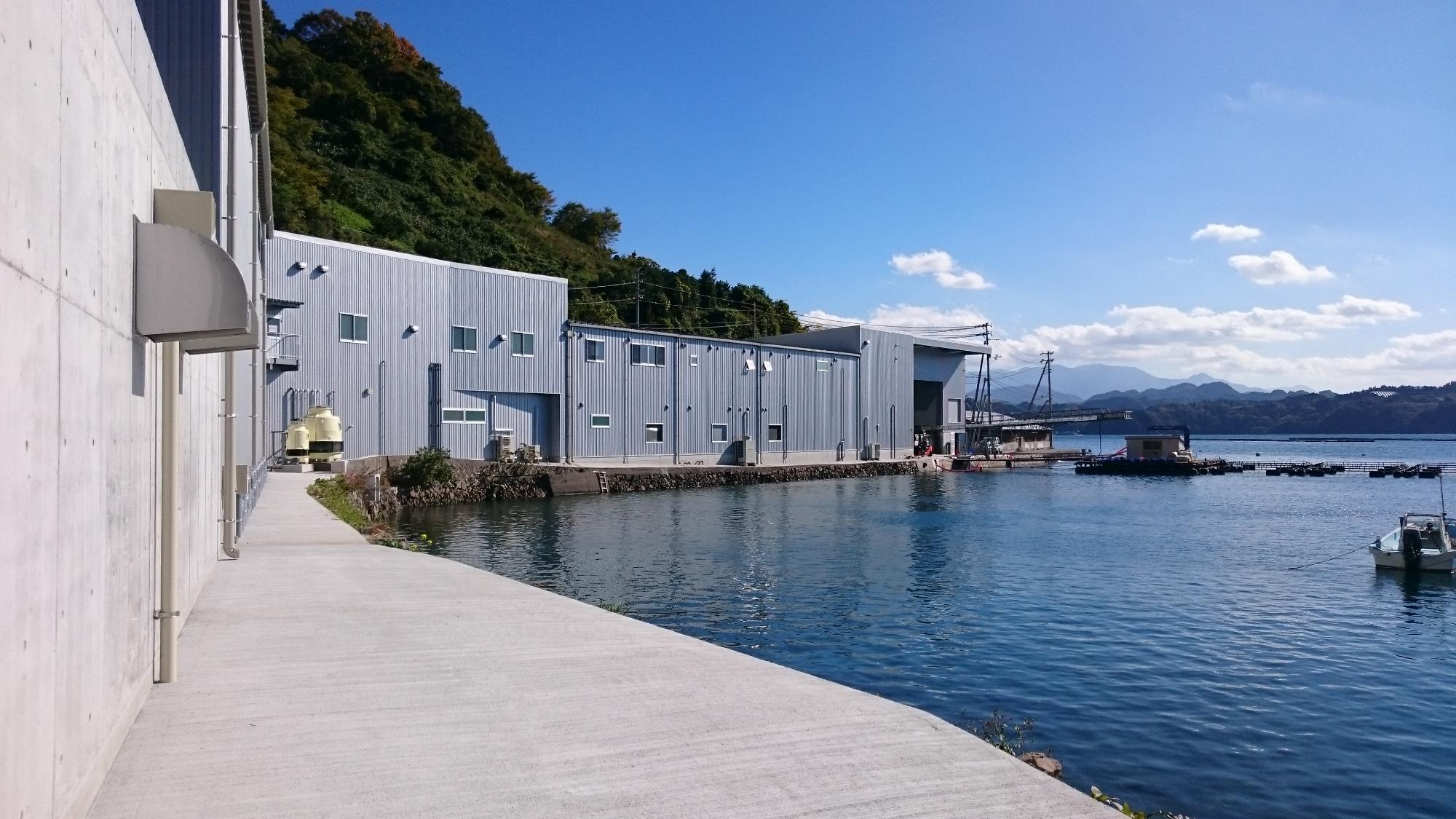 きれいな青空と青い海に面した養殖場の写真