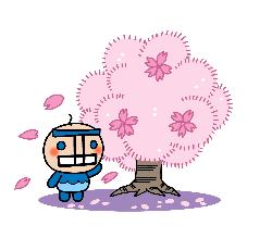 せい坊