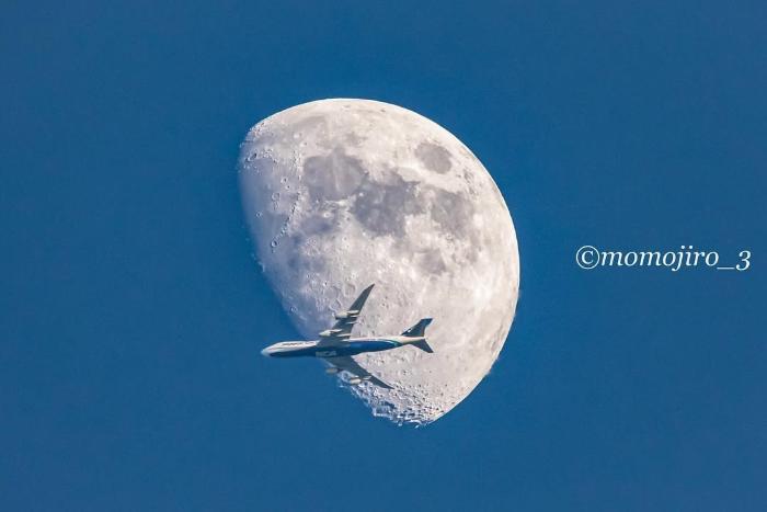 ストライクです😋