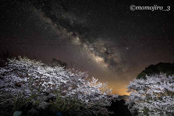 野福峠にも桜🌸