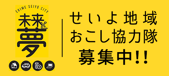 せいよ地域おこし協力隊