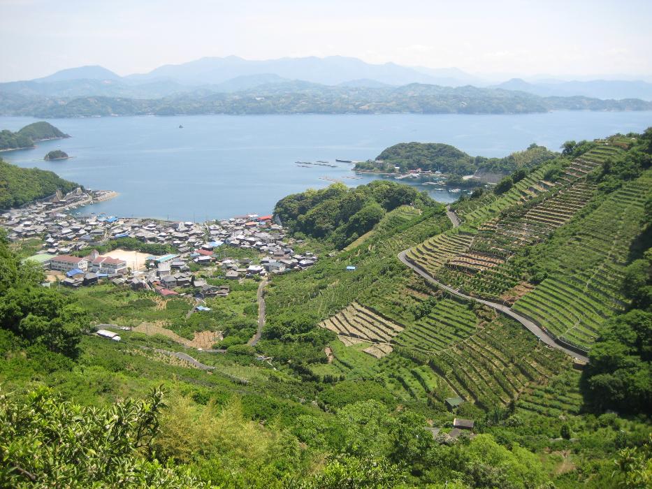 その他見どころ