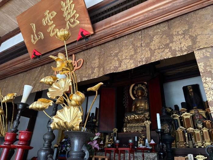 木造阿弥陀如来坐像