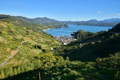 重要文化的景観t区域（明浜町狩浜地区）