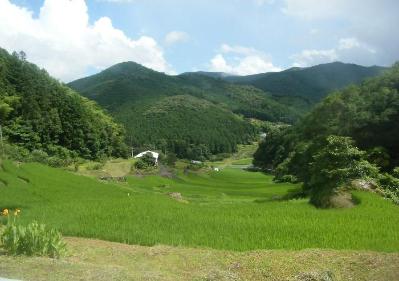 西予市景観計画設定区域（城川町田穂地区）