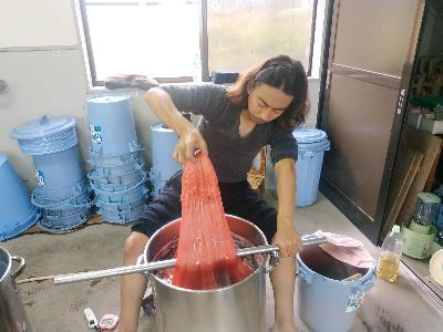 天然染料による染色