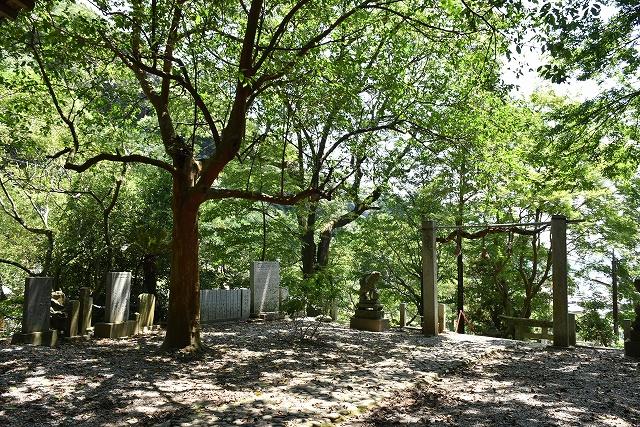 客人神社の社叢 西から撮影