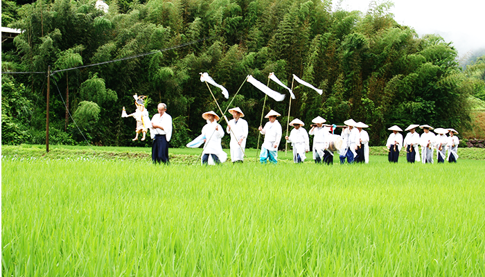 (写真) 西予市の文化財