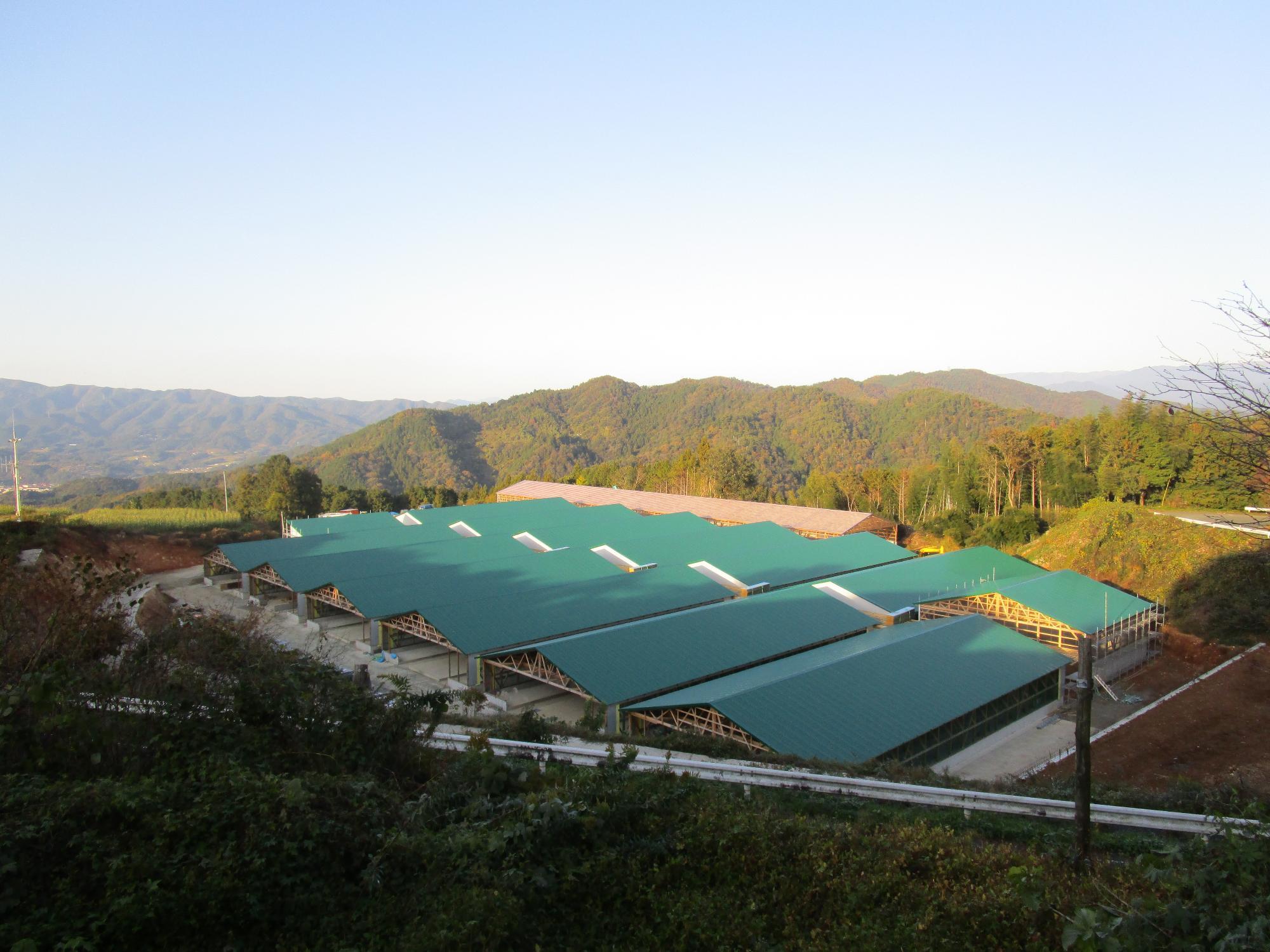 青空の下、緑色の屋根の養豚場の上からの写真