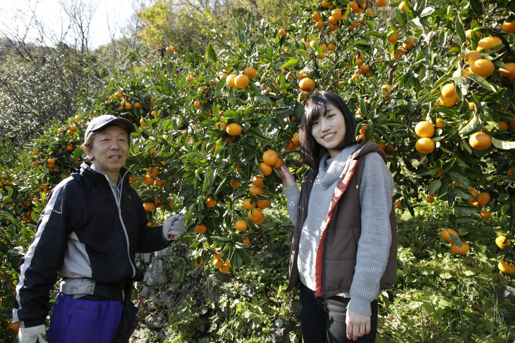 豊吉 麻未さん(兵庫県神戸市出身)