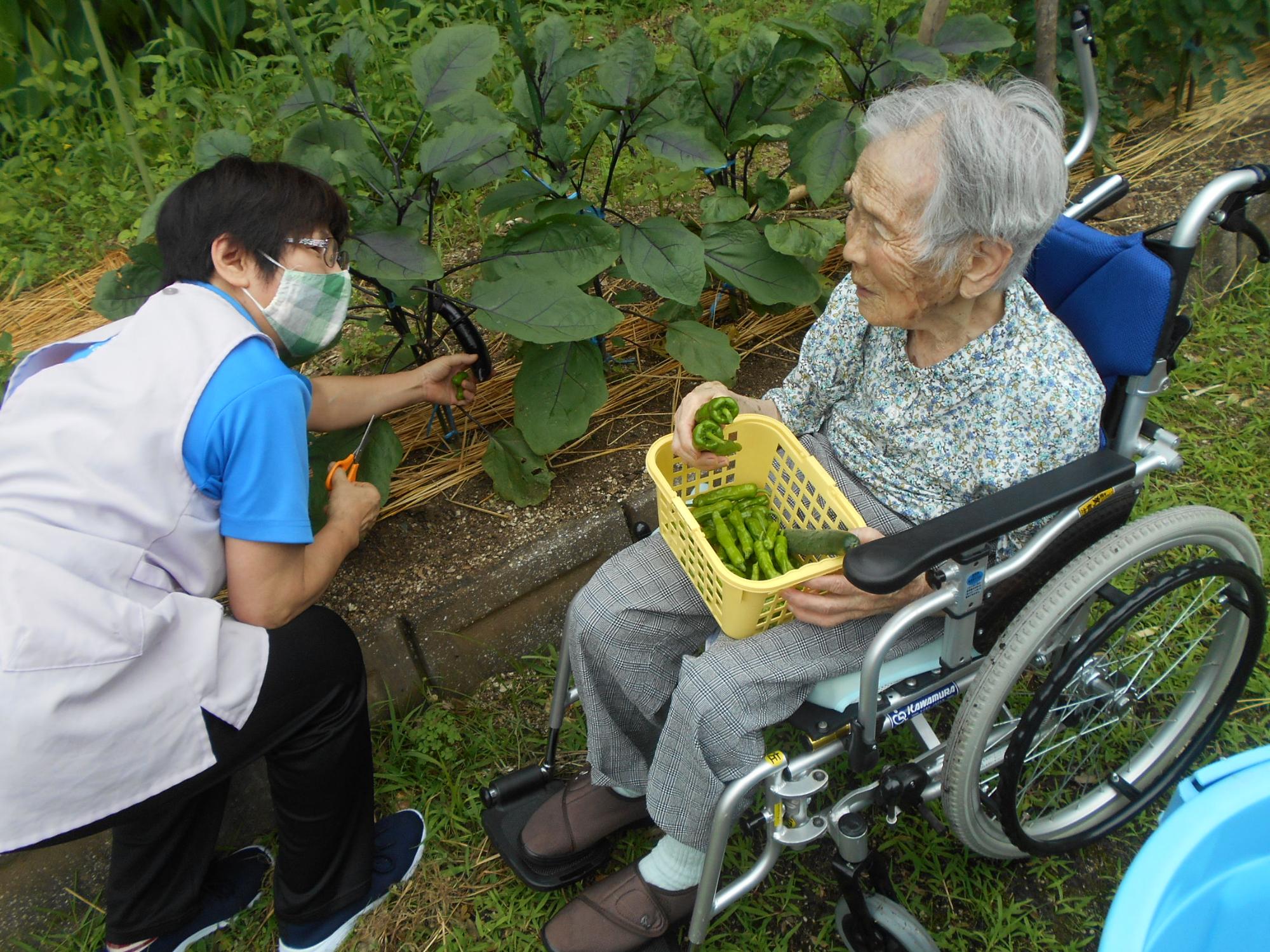 野城総合福祉協会介護風景