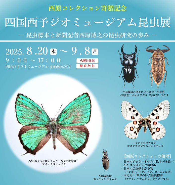 昆虫展