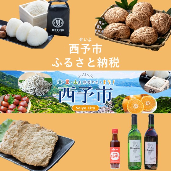 西予市ふるさと納税