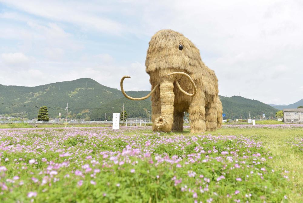 宇和れんげまつり会場写真