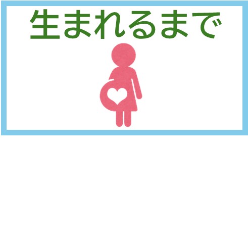 生まれるまで