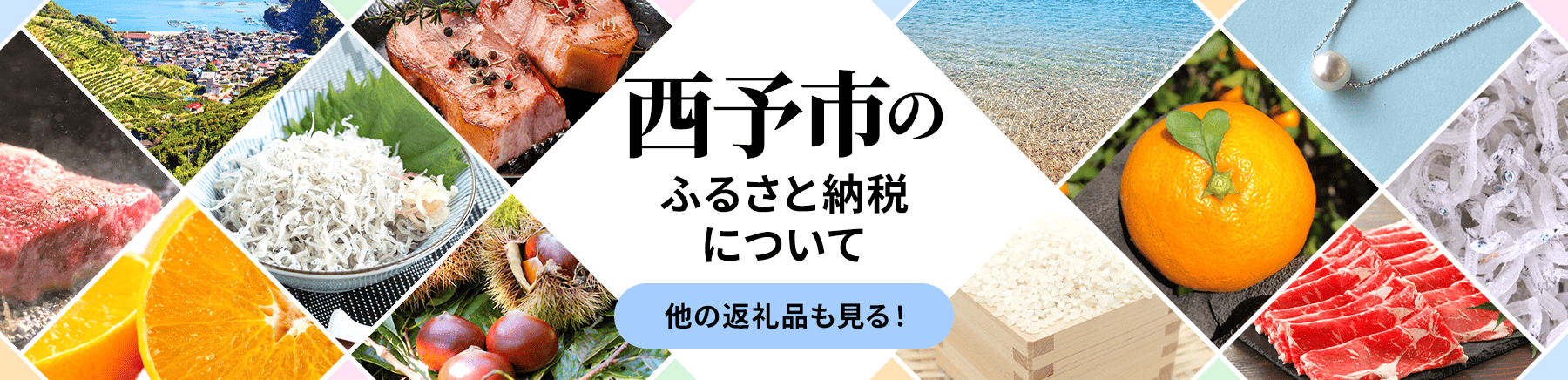 西予市のふるさと納税について 他の返礼品も見る