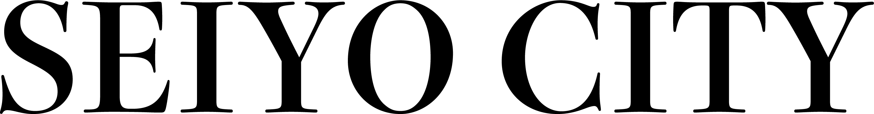SEIYO CITY