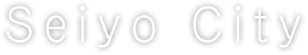 Seiyo City
