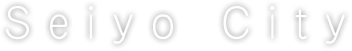 Seiyo City